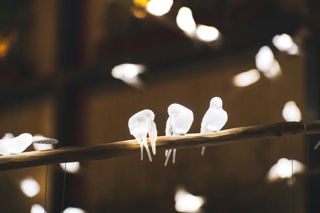 foto Vlaštovky jako světelný příběh v unikátní restauraci