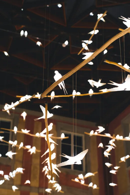 Technická podpora a koordinace